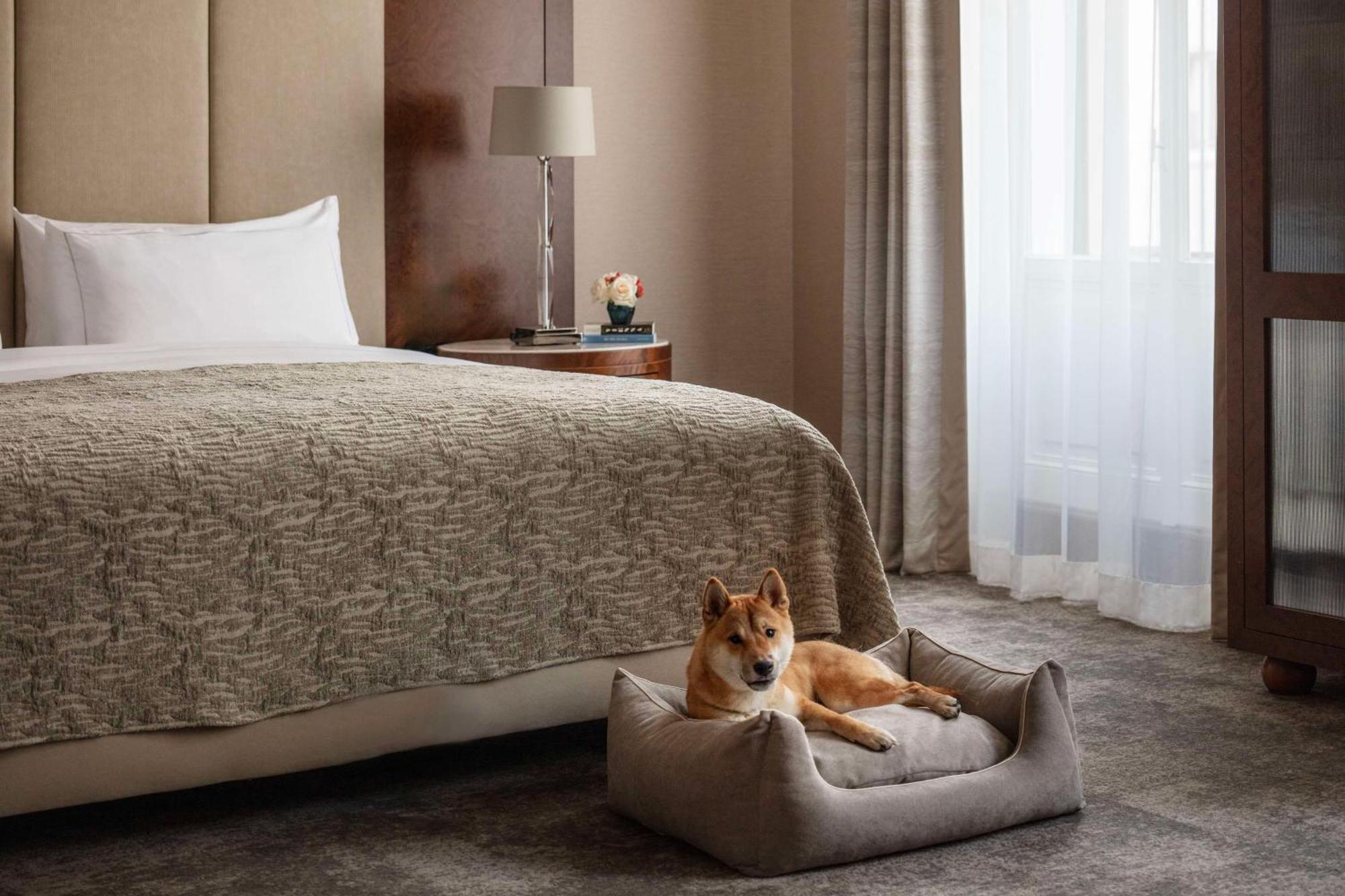 Anantara Palais Hansen - Newly Renovated 5* Viena